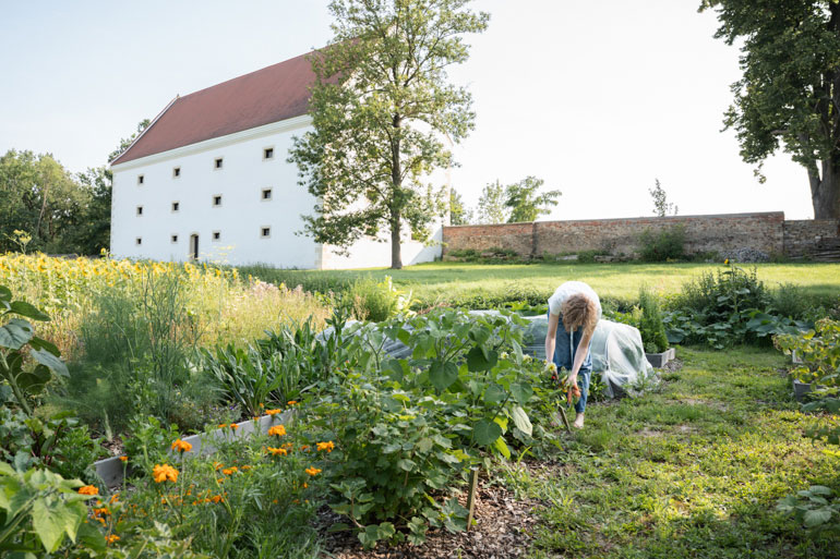 Alana beim Gemüseernten im Garten